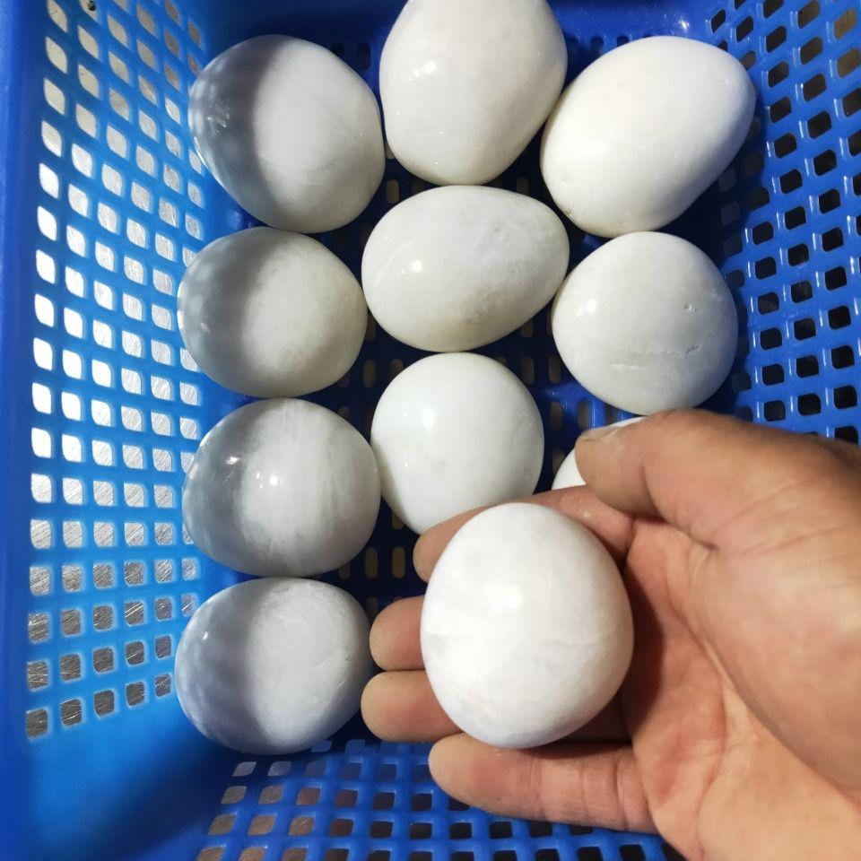 Polished White Natural Pebble Stones for Hydroponics, Fish Tanks, Landscaping, and Balcony Decor