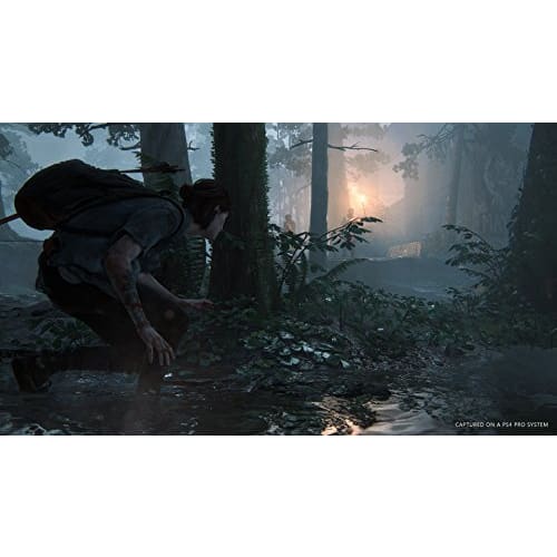 [PS4] The Last of Us Part II [CERO rating "Z"]