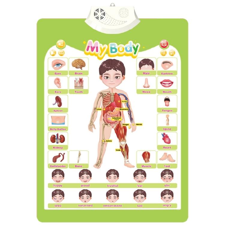 Educational Talking Wall Chart for Kids Interactive Learning Tool for Toddler Preschool Sounding Cogntion Skill Poster