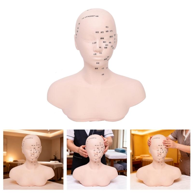 Realistic Massage Therapy Head Model Featuring Stable Filling Structure And Ergonomic Design For Beauty Academies