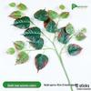 Autumn Green Bodhi Leaf for Garden Landscaping and Wedding Decor