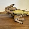 [USED] Dinosaur figures Jurassic World
