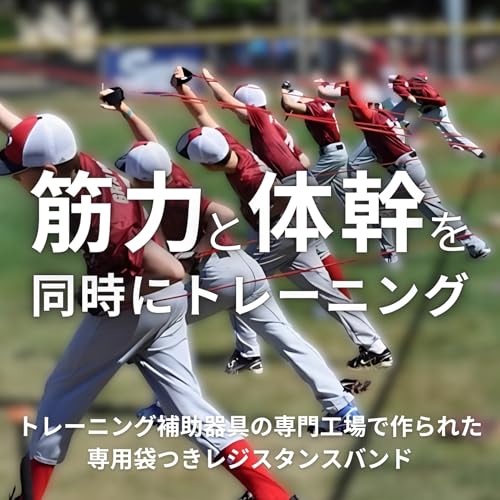 Tube d'entraînement Donalee Bandes de résistance avec sac, Baseball, Musculation, Gainage, Étirements, Tubes en caoutchouc, Sangle de poignet fixe (6,8 kg (Début