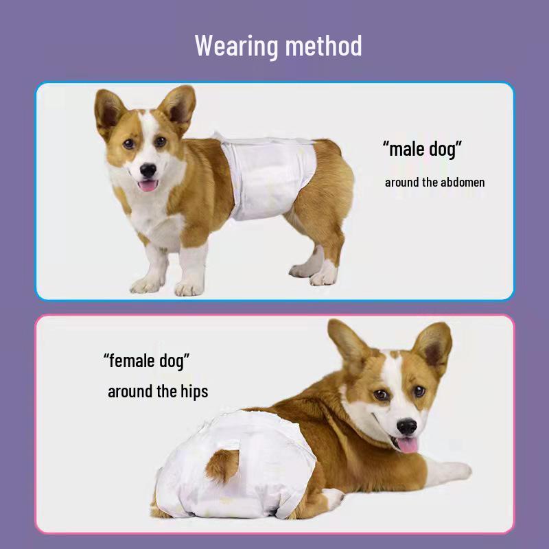 ფერის ცვლადი გაჟონვისგან დამცავი შინაური ცხოველის საფენები: ძაღლის ფიზიოლოგიური ტრუსები (მამალი და ძუ)