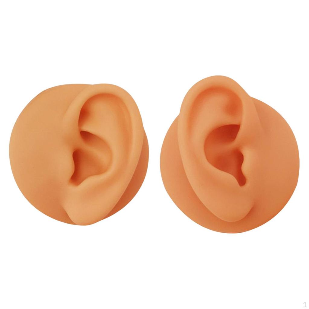 Silicone Ear Simulated S Display Photography Props Rubber Washable Right Left Reusable for