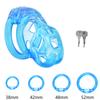 PET Honeycomb Lock Ring Chastity Cage for Male Pet Cock Cage Adult Toys Lockable Ring