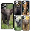 African Elephant Silhouette Phone Case For iPhone 17 Air 13 12 14 15 16  Cover For Apple Pro Max 6S Plus Coque