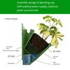 Hanging Plant Wall Flowerpot 3 in 1 Wall Mount Plant Holder  Gardening Supplies