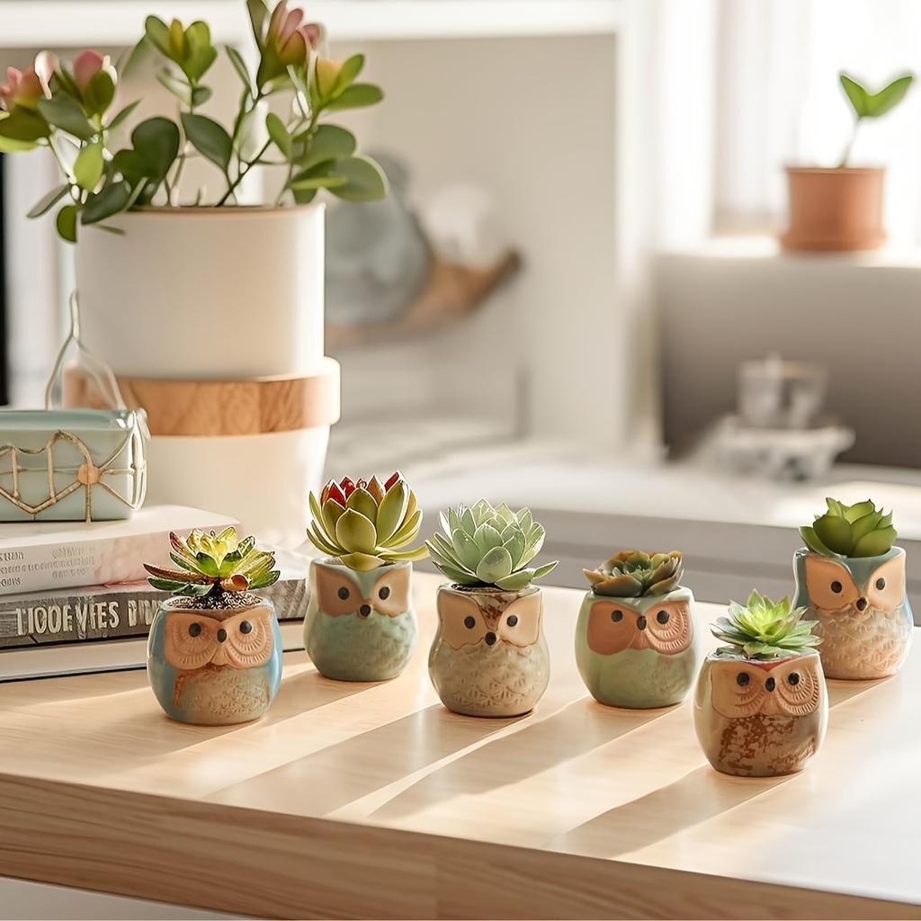Creative Cartoon Kiln Transformation 6pcs Set Owl Ceramic Succulent Plant Pots with Drainage Holes, Adorable Small Planters with Plant Stands