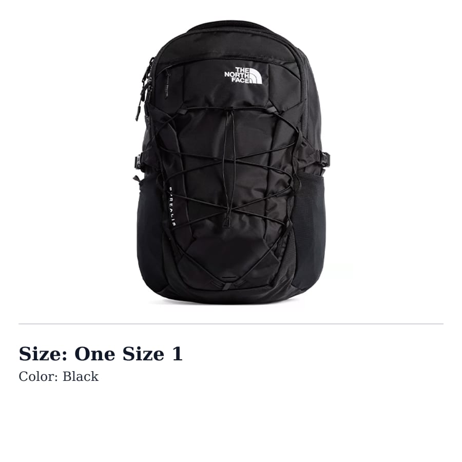 THE NORTH FACE Borealis 28L Backpack