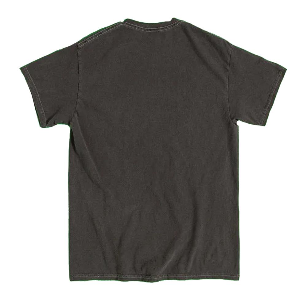 Gremlins 2 Unisex Adult Stripe Vintage Washed T-Shirt