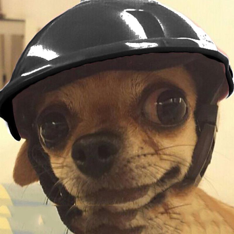 chihuahua motorcycle helmet Amazon.com : PETLESO Dog for Small Dogs, XSmall Dog Helmets with Ear Holes, Pet Safety Hat Extra Small Doggy Helmet for Puppy & Cats Head Protection, Adjustable, Pink XS The Small Pet Motorcycle Type Protective Helmet is designed for small dogs helmet for small dogs -