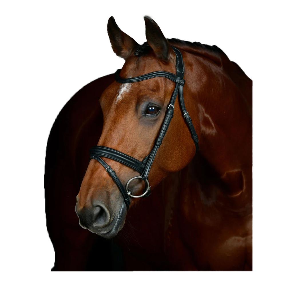 Collegiate Comfitec Leather Horse Bridle