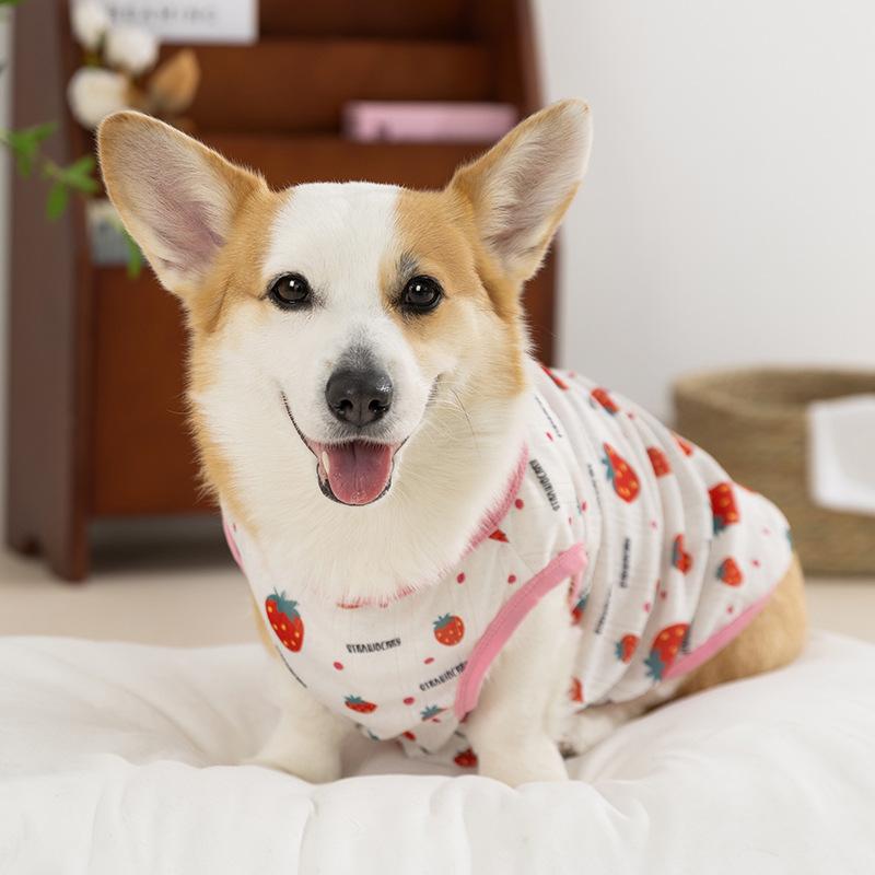 Corgi Vest Spring and Summer Full of Fruit Corgi Special Two-legged Clothes Starling Dachshund Medium Dog Pet Clothes