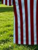 Men's Outdoor Polo Shirt, Available in Multiple Sizes, Featuring a Contrasting Vertical Stripe Design in Burgundy and Light Blue, with a