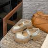 Platform Mary Jane single shoes women's autumn 2025 new muffin small man fashionable versatile word with small leather shoes