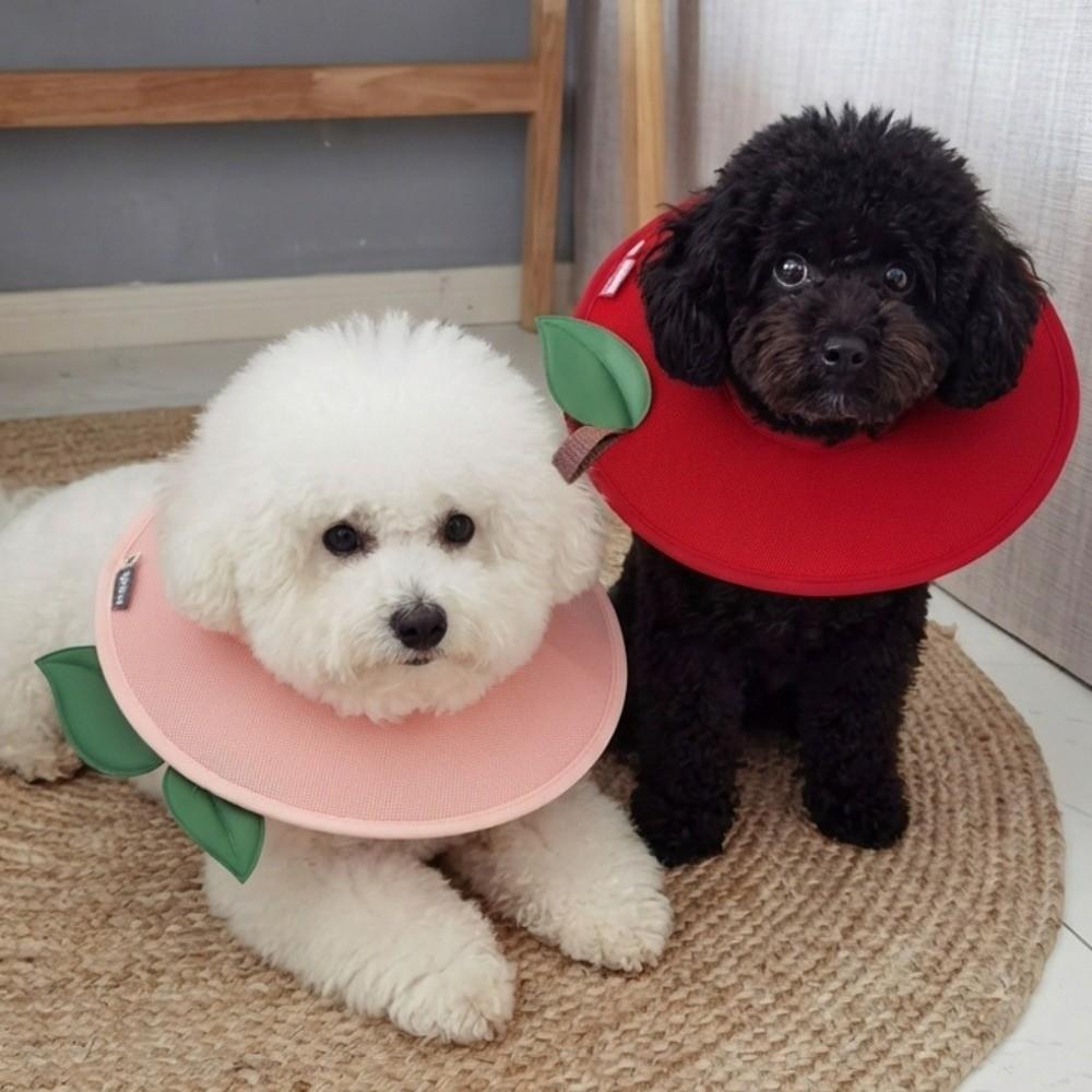 Soft Fruit Shape Kitty Recovery Collar Anti-licking Cute Cat Elizabethan Collar Anti-biting Creative Dog Protective Neck Cone