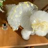 Koreanische Niedliche Hunde Kleidung Sommer Katze Prinzessin Kleid Haustier Kleidung Mädchen Hund Kostüm Neue Mode Trendig