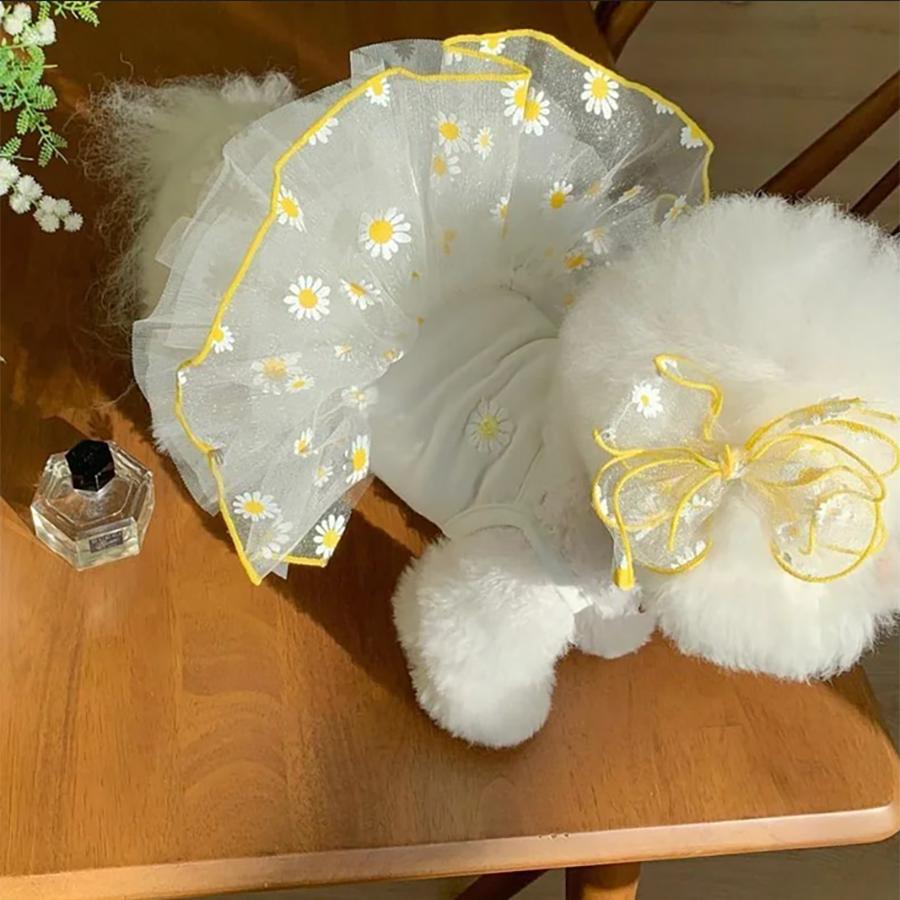 Koreanische Niedliche Hunde Kleidung Sommer Katze Prinzessin Kleid Haustier Kleidung Mädchen Hund Kostüm Neue Mode Trendig