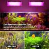 Full Spectrum LED Grow Light PhytoLamp For Plants Tent USB 5V Flower Seeding Switch Dimming Range Lamp Floodlight Grow Phyto Box