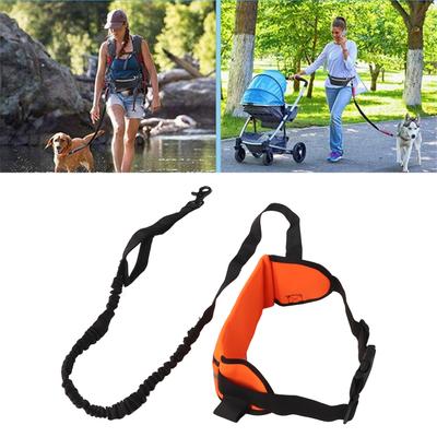 Köpek – Köpek Tasmaları ve Tasma Kayışları