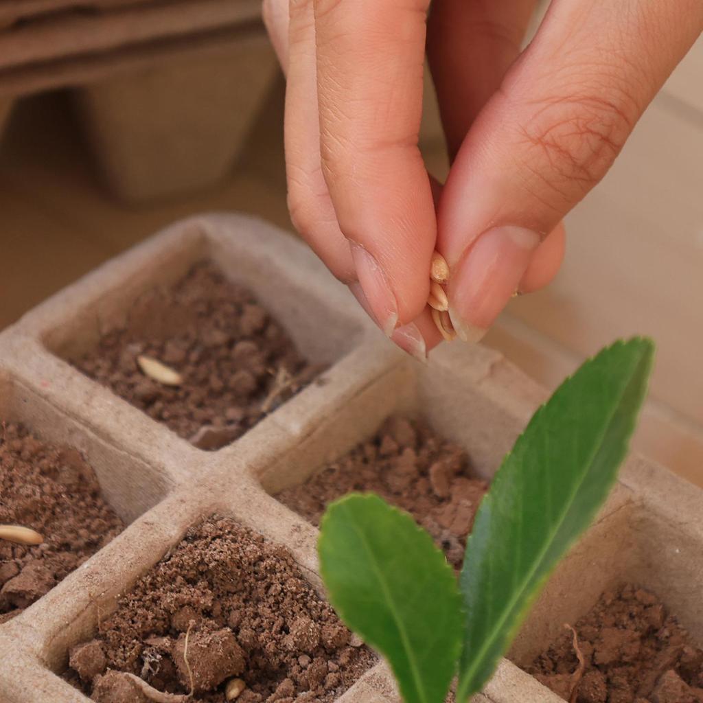 10PCS Paper Pulp Cup Biodegradable Plant Seedling Starter Nursery Tray Gardening Seed Planter Germination Growing Containers