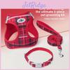 Pet Harness Set With Collars And Leash For Small Dogs For Daily Walks