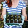 Thickened Seedling Tray with Transparent Lid & Rotating Switch - 6/12 Holes for Heat & Moisture Retention