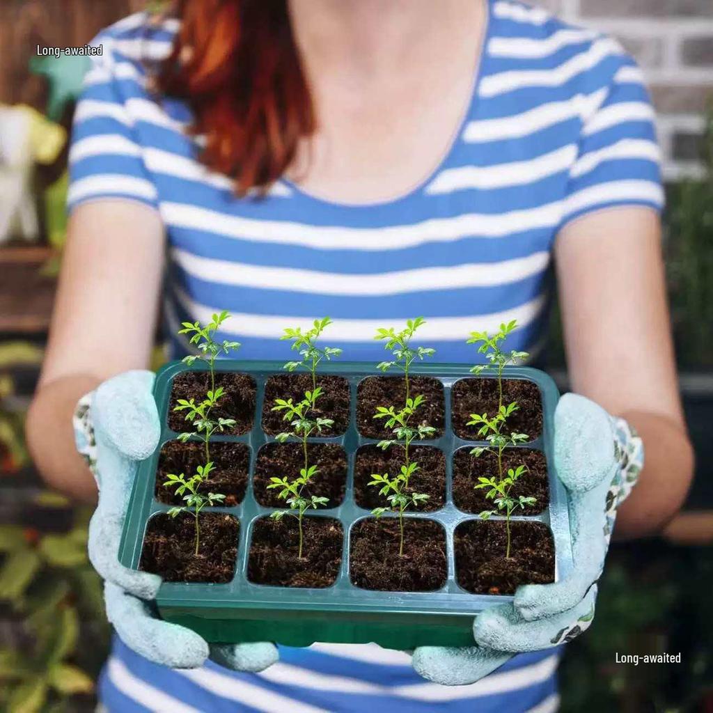 Thickened Seedling Tray with Transparent Lid & Rotating Switch - 6/12 Holes for Heat & Moisture Retention