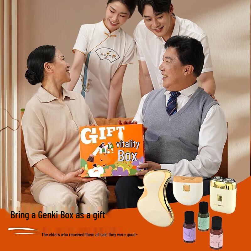 Hezheng Electric Grooming & Wellness Gift Box