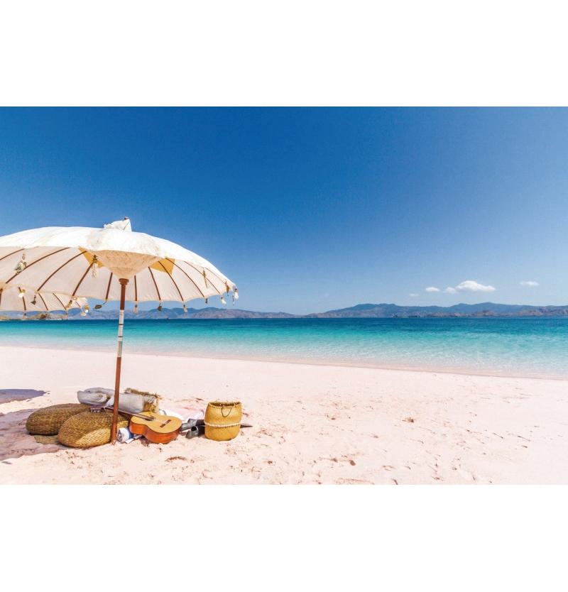 Decorazione Sfondo Spiaggia Tropicale Conchiglia Stella Marina Vacanza Estiva Per Festa in Piscina Sfondi Per Fotografie