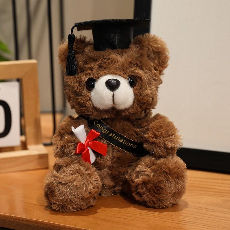 Gift Graduation Drteddy Bear Plush Toy Stuffed Animal Doll Decoration Kids