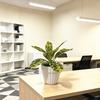 Artificial Small Green Plant Desktop Plant Pot With Wave Base For Office Decor And Home Living