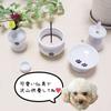 5-Piece Pet Buddhist Altar Set with Paw Prints, White, 2-inch, Mini Bouquet with Artificial Flowers, Perfect for Pet Loss and Memorial Services