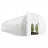 Garden tunnel greenhouse 24m², garden tunnel greenhouse with doors and 12 windows with insect screens, 295x798x199cm, white
