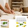 Citron Silikonform Mousse Chokladformar för Hemsåpa Tårta Bakverk Bakverktyg Formar