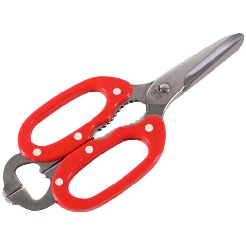 Intec Kaneki Cooking Scissors, Red, Blade Material: Stainless Steel, Handle: ABS Resin, Japan, BLY1601