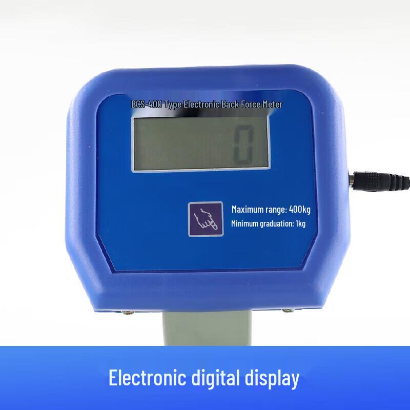 Ruilv Digital Back Strength Tester