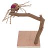 Bird Playstand Wooden Chewing Claws Grinding Parrots Training Rack with Base for Cockatiel
