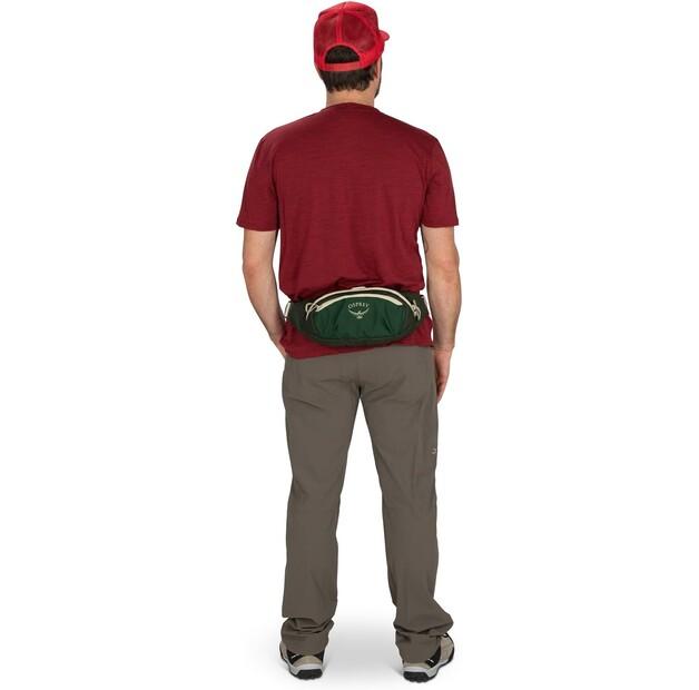 Backpack Osprey Daylite Waist Green Canopy/green Creek