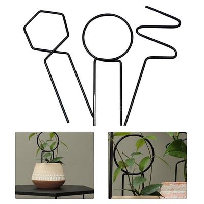 Easy Installation Climbing Frame Support Garden Plant Bracket