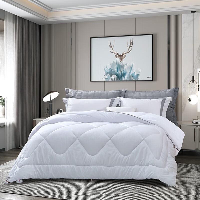 

Fuanna All-Season Comfort Fiber Quilt