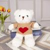 Sweater Bear Doll Birthday Gift Teddy Bear Plush Toy Doll