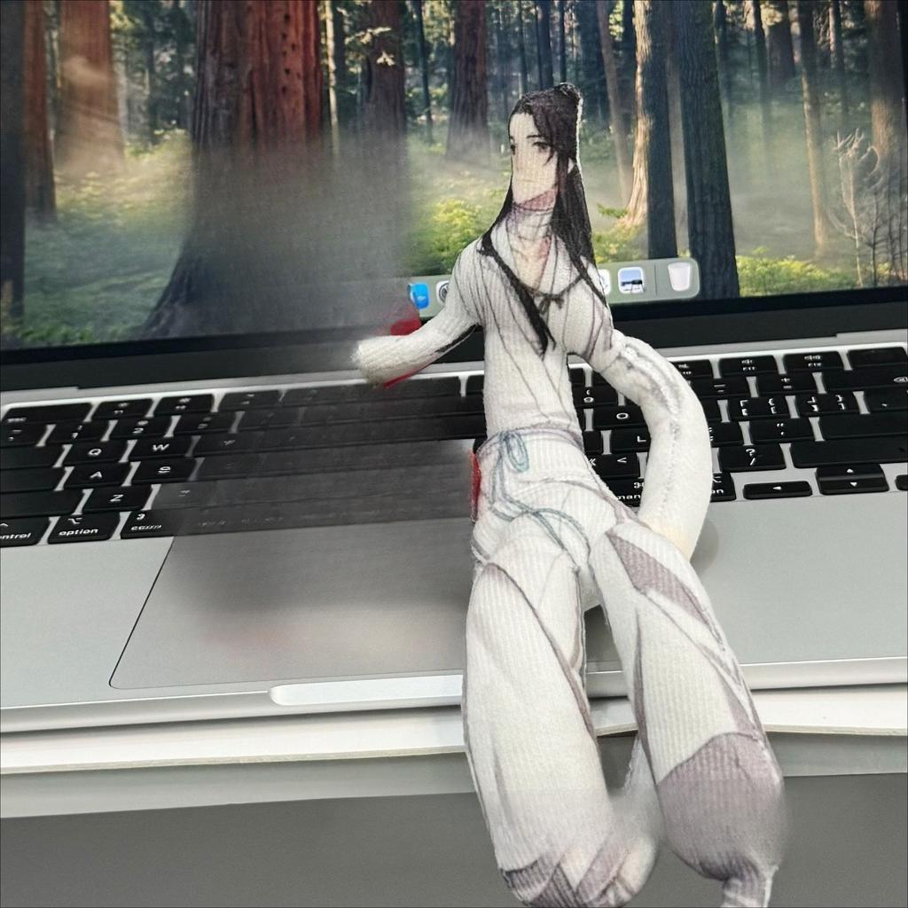 Heaven Official's Blessing Cartoonpuppe Hua Cheng Xie Lian Anime Lustige Puppe Tian Guan Ci Fu Eingebauter Draht Zufälliges Styling Requisiten