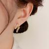 Women's Fashion Light Luxury Cold Style Exquisite Earrings