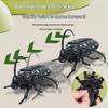 3Pcs Set Wind Up Insect Toys Fun Clockwork Prank Fidget Gadgets Easy Operation for Toddlers Preschoolers Casual Play
