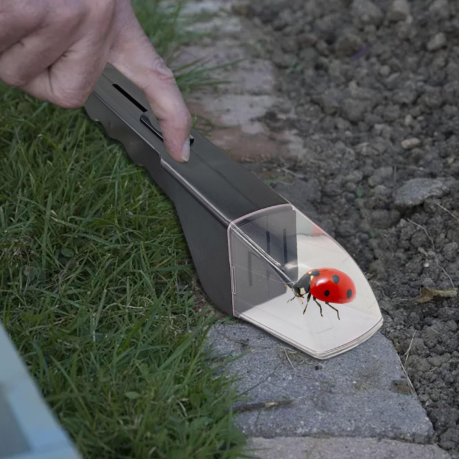 Portable Transparent Insect Catcher Handheld Insect Catcher Spider Catcher Bee Insect Clamp Artifact Insect Catching Tool