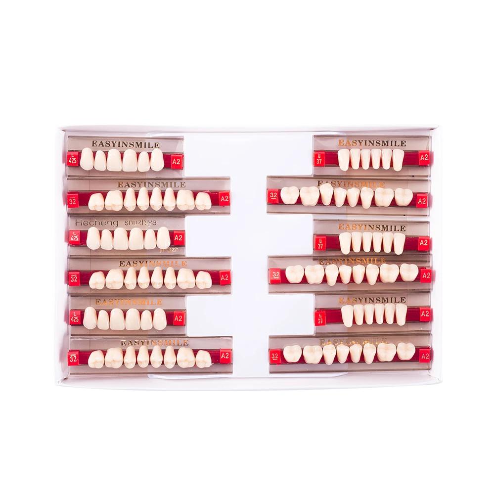 16/12 Sätze/Karton Zahnprothese Zähne Oberkiefer Frontzähne Unterkiefer Seitenzähne Dentier Synthetisches Polymerzähne Zahnmedizinische Ausbildungsmodell