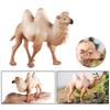 Lebensechtes baktrisches Kamel Modell Figur für Heimdekoration Modell Kamele Tier Spielzeug Auto Tischdekorationen Kinderspielzeug