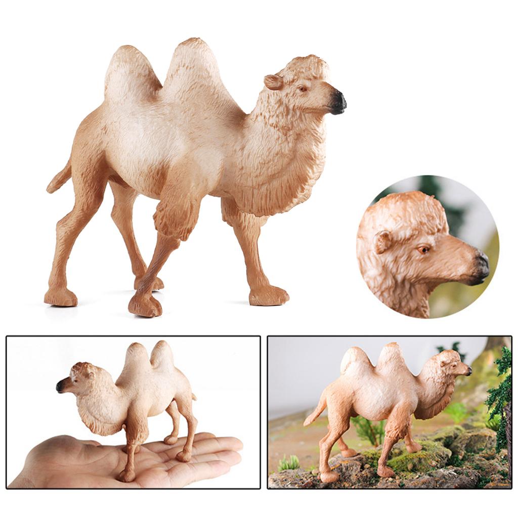 Lebensechtes baktrisches Kamel Modell Figur für Heimdekoration Modell Kamele Tier Spielzeug Auto Tischdekorationen Kinderspielzeug